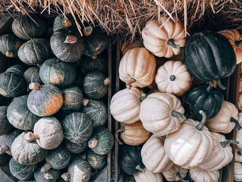 High angle view of pumpkins for sale at market stall