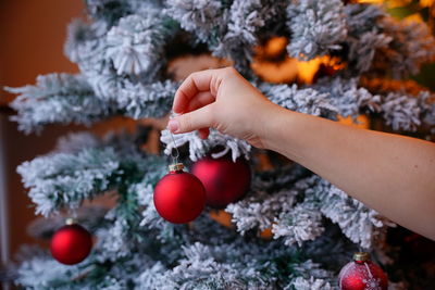 Cropped hand of woman holding christmas tree