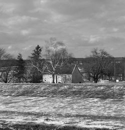 Bare trees on snow covered landscape against sky