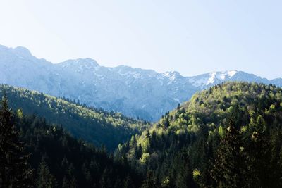 Scenic view of mountains against clear sky