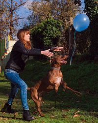 Full length of a dog