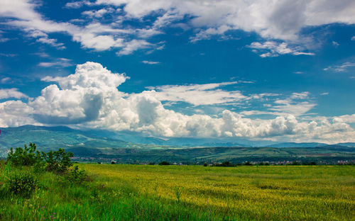 Scenic view of field against sky