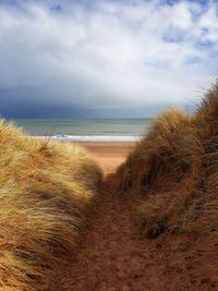 Scenic view of sea against sky