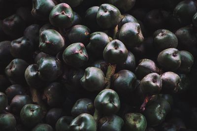 Full frame shot of blueberries