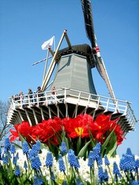 Low angle view of traditional windmill against clear blue sky