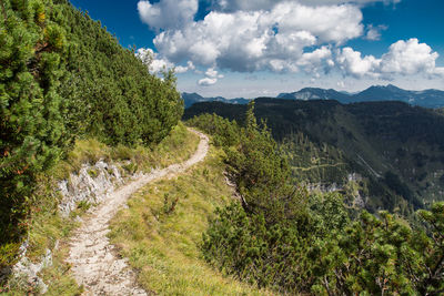 High angle view of trail on green mountain