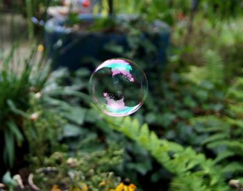 Close-up of bubbles in mid-air