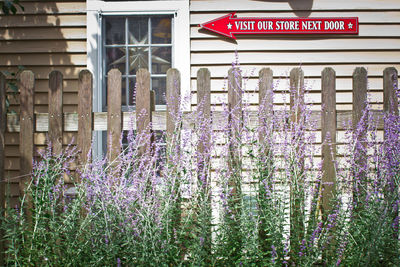 Text on flowers in front of building