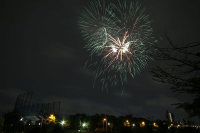 Low angle view of firework display at night