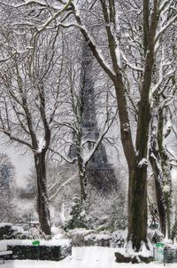 Bare trees on snow covered landscape