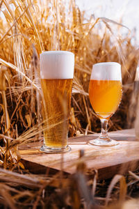 Close-up of beer glass on table