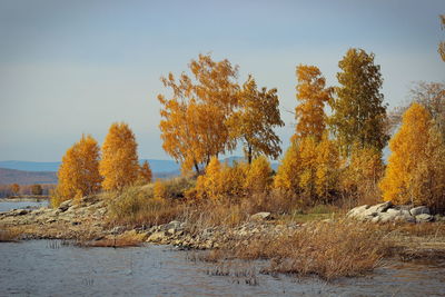 Trees by lake against sky during autumn