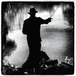 Reflection of trees in water