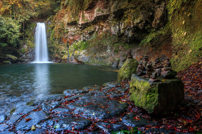 Scenic view of waterfall in forest