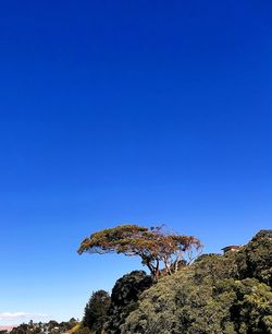 Low angle view of rock formation against clear blue sky