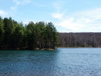 Scenic view of lake in forest against sky