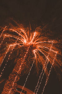 Firework display at night