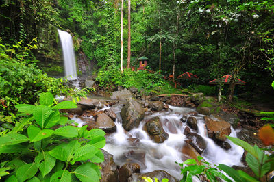 Scenic view of waterfall in forest