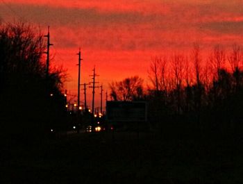 Silhouette of trees at sunset