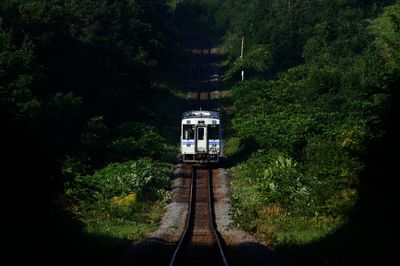 Local train running in biei in the summer morning