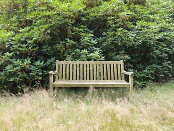 Empty bench in park