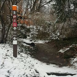 Bare trees on snow covered landscape