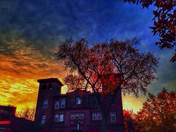 Low angle view of bare tree against sky at sunset