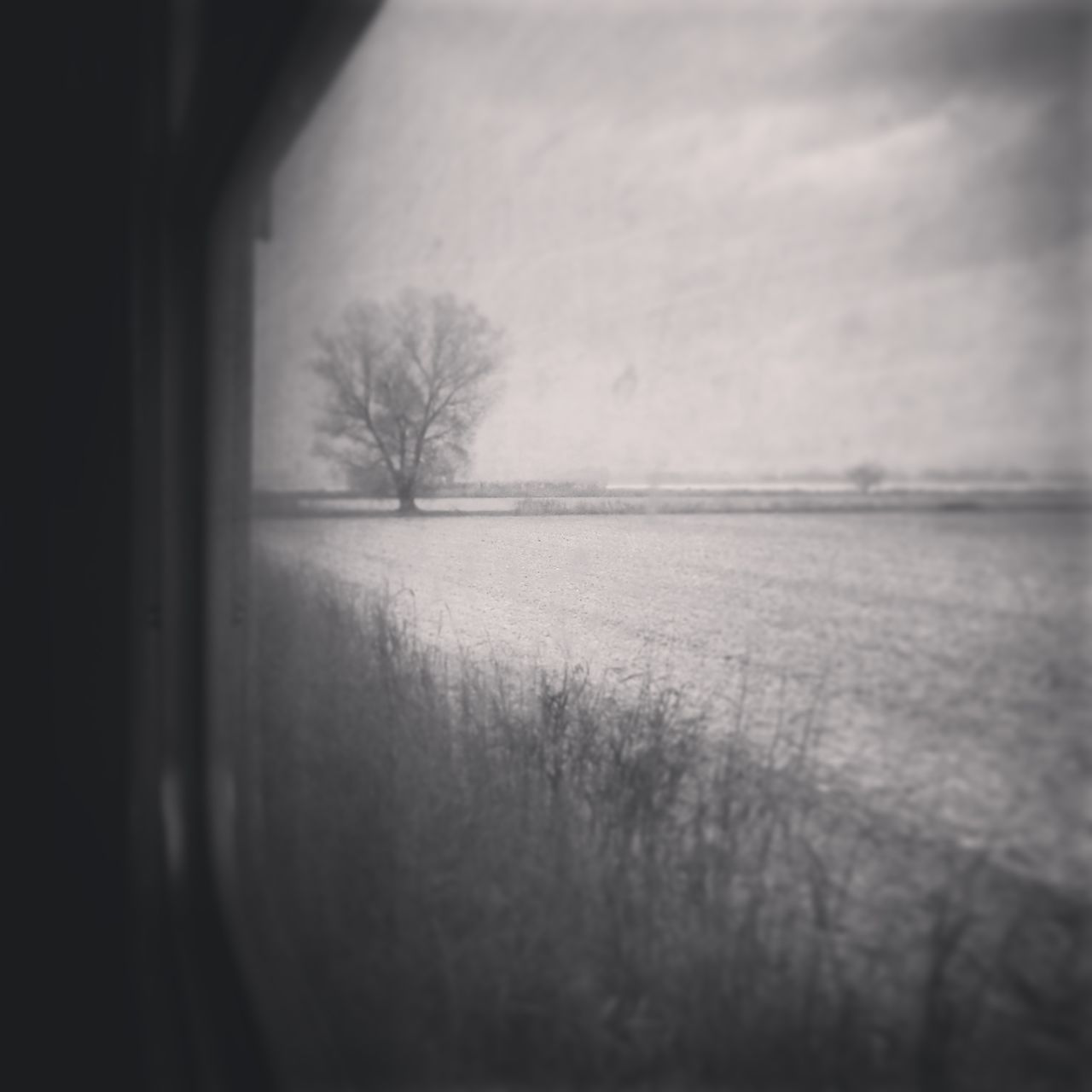 window, sky, tree, bare tree, indoors, glass - material, weather, transparent, tranquility, nature, water, tranquil scene, cold temperature, reflection, landscape, winter, silhouette, field, dusk, day