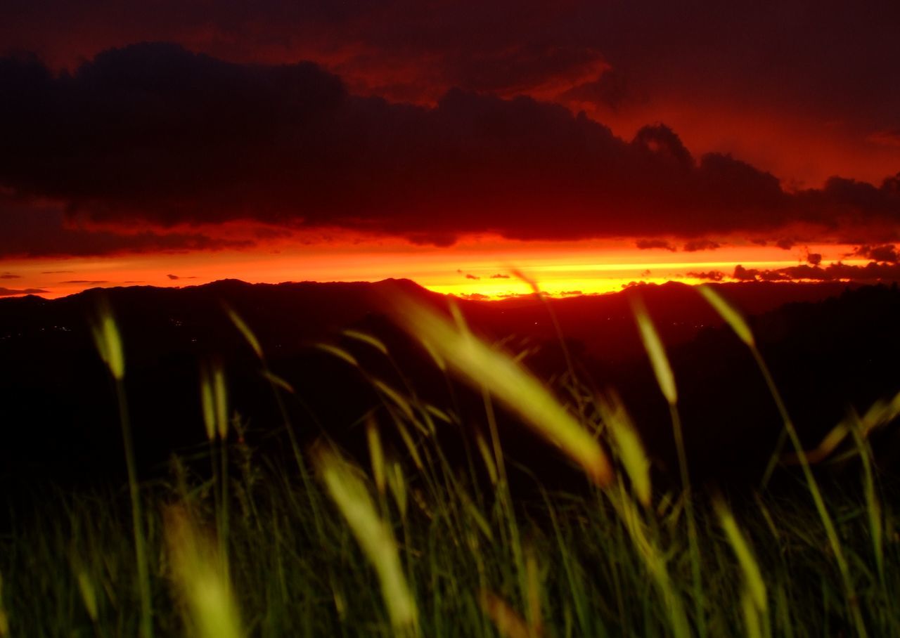 Sul far della notte - - - Puntidivista Backlight Shadowshot Light And Shadow Silence Sky Red Rosso Blurred Thoughtful