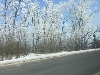 Road amidst bare trees during winter