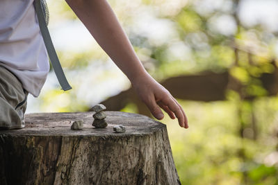 Midsection of person sitting on tree stump in forest