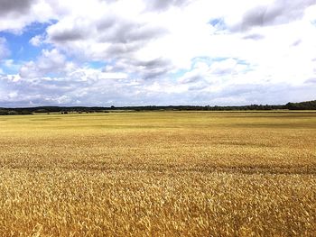 Scenic view of field against cloudy sky