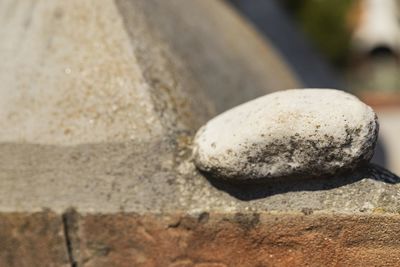 Close-up of stones