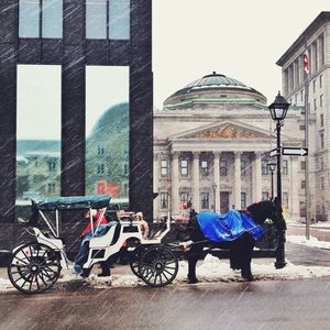 Cars parked in parking lot