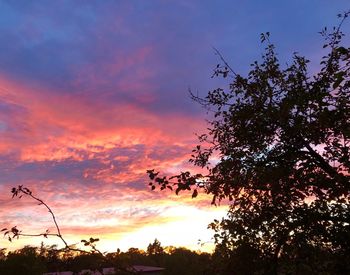 Low angle view of silhouette trees against sky during sunset