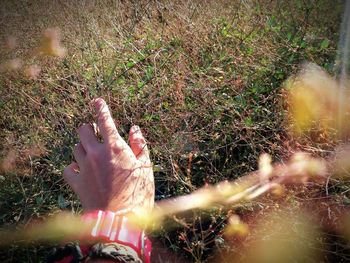 Close-up of human feet on grass