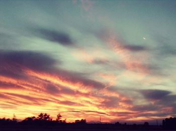 Silhouette of trees at sunset