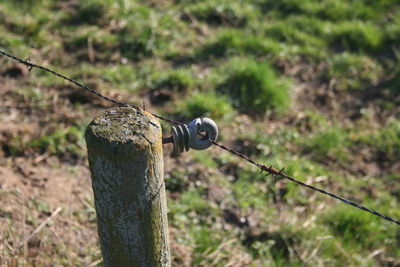 Close-up of barbed wire on wooden fence