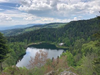 Scenic view of lake and trees against sky