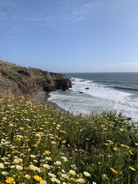 Scenic view of sea against sky