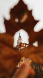 Church seen through leaf