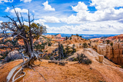 Scenic view of landscape against cloudy sky