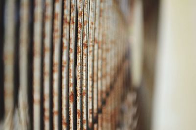 Close-up of wooden door