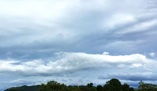 Low angle view of trees against sky