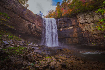 Scenic view of waterfall in forest