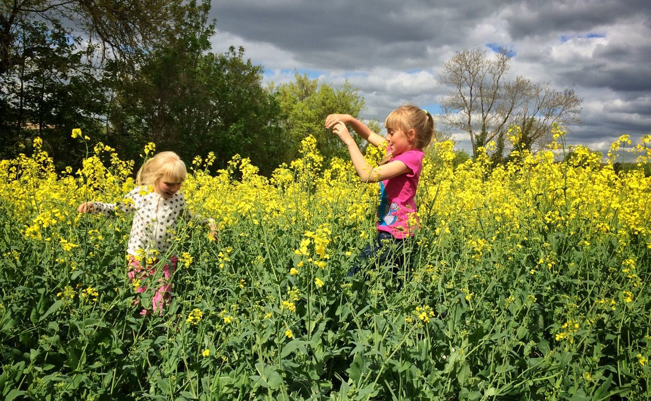 childhood, person, lifestyles, casual clothing, leisure activity, elementary age, full length, sky, girls, boys, tree, field, growth, togetherness, bonding, grass, innocence, standing