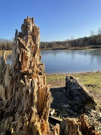 Driftwood on rock by lake against sky