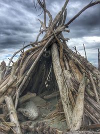 Low angle view of dead tree against cloudy sky