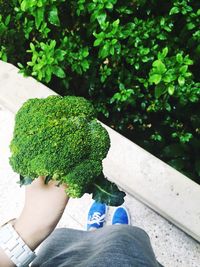 Cropped image of woman holding broccoli