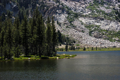 Scenic view of lake by trees against sky